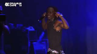 Fireboy DML  Peru Live at Couleur Café 2023 [upl. by Novaat]