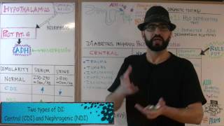 ADH and Diabetes Insipidus  Endocrine 3  Med School Mondays with PROMO [upl. by Amberly]