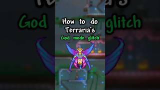 Terrarias working GOD MODE Glitch 14 [upl. by Yelnahs526]