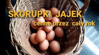 Skorupki jajek cenne przez cały rok [upl. by Gnuhn151]