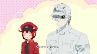 Cells at Work Trailer 2 [upl. by Beeck]