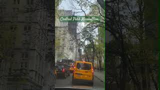 5th Avenue bordering Central Park in Manhattan icclifecoach centralpark travel [upl. by Yrailih453]