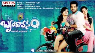 Brindavanam Song  RowdyBoys Songs Ashish Anupama  DSP  YTShorts [upl. by Edwyna]