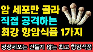 내 몸속 암세포만을 직접 공격하는 최강의 항암식품 1가지 I 과학적으로 검증된 항암식품 50가지 I 니시노 호요쿠 I 암이 사라지는 식사 I 암 억제 식품사전 [upl. by Pogue]