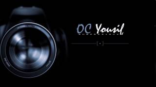 photography logo intro [upl. by Senn621]