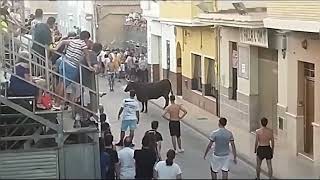 BOUS AL CARRER PICASSENT TOROS EN LA CALLE PICASSENT VAQUILLAS2023 [upl. by Odetta]