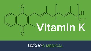 Vitamin K Fat Soluble Vitamin  Biochemistry [upl. by Divadnoj213]