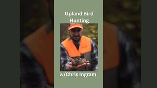 Upland Hunting in Vermont Woodcock Snipe Ducks amp more wChris Ingram  Episode 17 birdhunting [upl. by Ashly1]