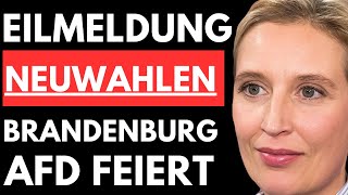 🚨EILMELDUNG NEUWAHLEN IN BRANDENBURG  AfD KÖNNTE STÄRKSTE KRAFT WERDEN🚨 [upl. by Bishop]