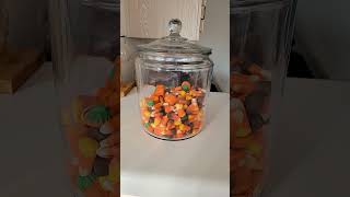 Brachs Candy Corn candycorn brachs yes no shortsvideo halloween pumpkin viralvideo videos [upl. by Yblok]