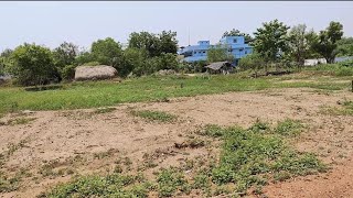 Land for Sale in GannavaramVijayawadaHCL Technologies618 SqyardsWNRate 9880 Lacs🤙 8885005567 [upl. by Kilk]