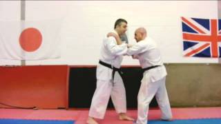 bassai sho haito Bunkai Strategies Newsletter 2013 week 10 koryu oyo jutsu [upl. by Enyaw642]