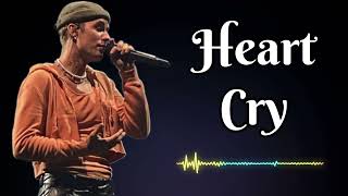 Justin bieber  Heart Cry [upl. by Byrle]