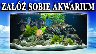 Początkujący 🐠 Propozycje RYB do Pierwszego AKWARIUM [upl. by Kirbie]