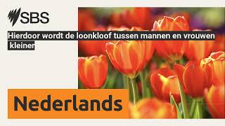 Hierdoor wordt de loonkloof tussen mannen en vrouwen kleiner  SBS Dutch  SBS Nederlands [upl. by Nidnarb]