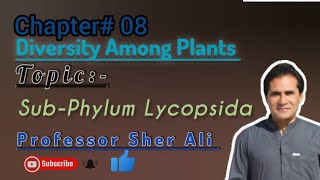 SubPhylum Lycopsida  kingdom plantea  by Sher Ali sir [upl. by Aremus734]