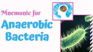 Anaerobic Bacteria Mnemonic for USMLE Step 1  MedSurvival [upl. by Enatan]