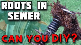 How to Remove Tree Roots from Sewer Pipe  How to Unclog Main Drain Line  Sewer Snake  Rootx [upl. by Snebur]