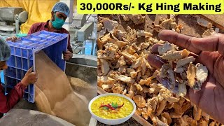 ₹30000 Kg😱😱 Everything You Need To Know About Hing Asafoetida  देखिए हींग कैसे बनता है😳😳 [upl. by Muhammad]