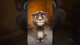 song catytalking youtubeshorts shorts song ytshort songs talkingtom cat caty cartoon [upl. by Posehn400]