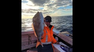 Terrigal Fishing  Winter Snapper [upl. by Narayan448]