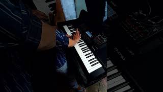 santoor tone play in piano keyboard 61 keyboard piano playing 61 keyboard piano playing 🎹 music [upl. by Godfrey]