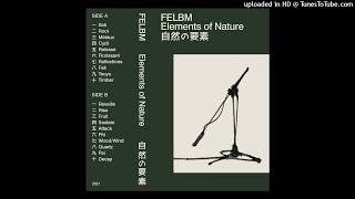 Felbm  Fruit [upl. by Idnerb]