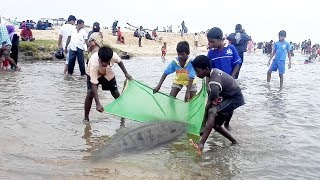 Fishing in FLOOD at Marina beach chennai Heavy Rain  YOvlgsinfo002 CITYBEE [upl. by Yarased]