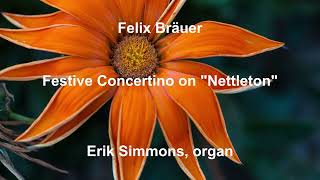 Felix Bräuer  Festive Concertino on quotNettletonquot [upl. by Meijer]