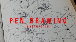 Nasturtium Flower Pen Drawing Sketch Study [upl. by Yacov52]