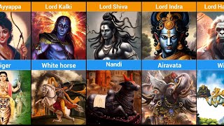 Hindu 🕉️Gods and Their Vahanas A Visual Guide🙏🙏 [upl. by Niggem]