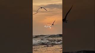 Adawat OST song with lyrics for Whatsapp statusadnandhool pakdramassong lyricssongstatus [upl. by Ellegna27]