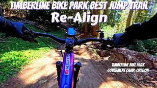 Re Align Timberline Bike Park best Jump Line Trail [upl. by Branham]