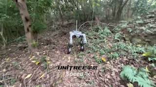 Unedited OneTake Video FourWheel Drive B2W Robot Dog Tackles All Terrains with Ease [upl. by Gnilrac]