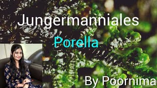 JungermannialesPorellaBy Poornima [upl. by Meehaf186]