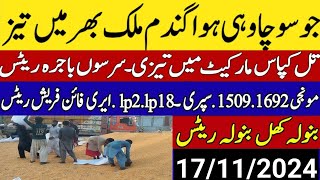 Today Wheat price in punjabگندم کا ریٹ 2024munji makki till sarsoGalla mandi rate today [upl. by Adiol294]