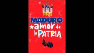 Mi Gallo Pinto Maduro amor de la Patria [upl. by Florry]