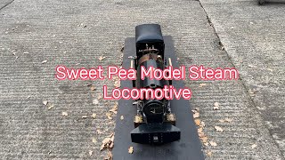 5 inch gauge 060 Sweet Pea steam loco running at Mote Park  Maidstone Model Engineering Society [upl. by Goodwin]