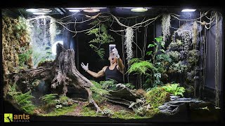 I Released an Apex Predator into My Giant Rainforest Vivarium [upl. by Swetiana612]