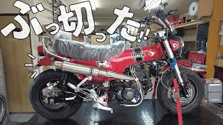 【ダックス125】大胆な『フェンダーカット』で可愛さが爆増！！ キャッツファクトリーのダックス125がかっこいいampカワイイすぎた！【モンキー125】 [upl. by Hardigg]