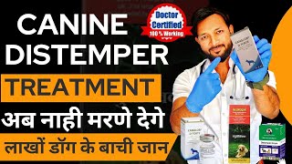 Canine Distemper Treatment At Home In Dogs  Symptoms  Recovery  Dog Distemper Treatment In Hindi [upl. by Nisotawulo]