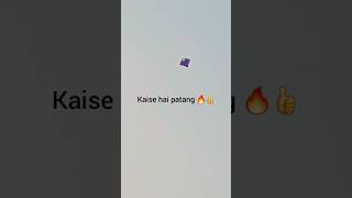 Patang sahi hai batao 🔥🪁video kite patangkite shorts [upl. by Ettenwad]