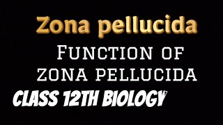 Zona Pellucida  Function of Zona Pellucida  science reproductive biology cbse [upl. by Acemaj]