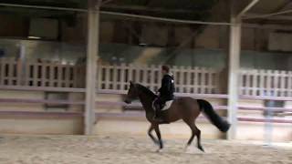 tzigane bel 5 ans [upl. by Chev]