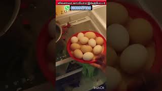 IncubatorReelsManufacturingTrending Agriculture Vivasayam tamilreelstrending [upl. by Faunie]