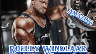 • Amazing Roelly Winklaar Motivation • roellywinklaar motivation musculation [upl. by Idel]