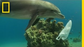 How We Can Keep Plastics Out of Our Ocean  National Geographic [upl. by Aleirbag]