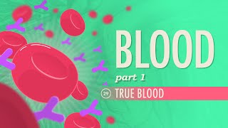 Blood Part 1  True Blood Crash Course Anatomy amp Physiology 29 [upl. by Eiroj]