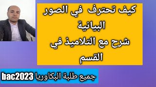 المراجعة النهائية 07 شرح جميع الصور البيانية  مع التلاميذ في القسم  جميع طلبة البكالوريا [upl. by Noach]