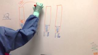 Serial Dilution Calculation [upl. by Ortrud972]